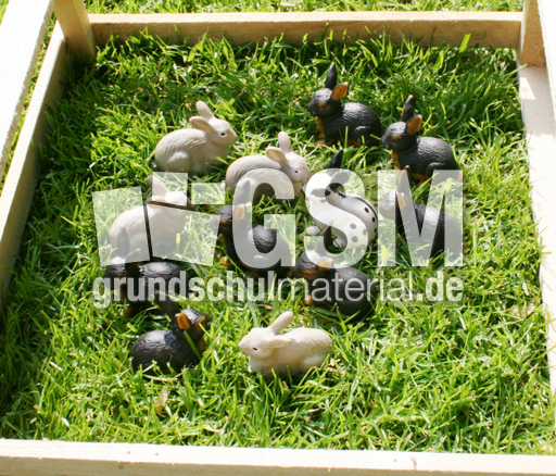 Kaninchen-12D.jpg